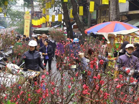Hà Nội sẽ tổ chức 78 điểm chợ hoa xuân phục vụ Tết