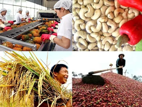 Tiền Giang: Khuyến khích xuất khẩu chính ngạch hàng nông sản gắn với xây dựng thương hiệu