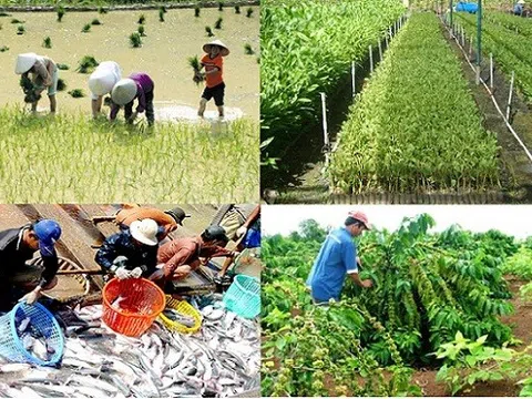 Thái Nguyên đặt mục tiêu giá trị sản xuất nông, lâm nghiệp, thủy sản tăng 3,5%
