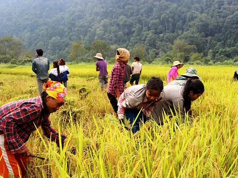 Phú Thọ: Khu vực miền núi trong hành trình giảm nghèo bền vững