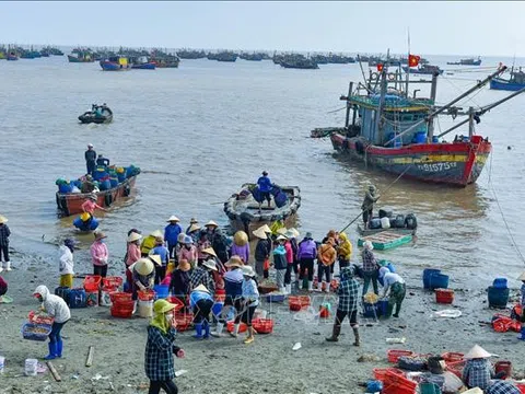 Thanh Hoá: Cảng cá Ngư Lộc tấp nập ngày giáp Tết