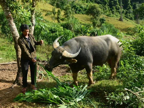 Huyện miền núi Thanh Hóa vươn tới xóa nghèo