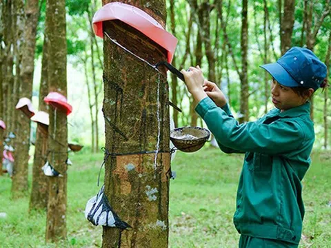 Lo Tết cho người lao động