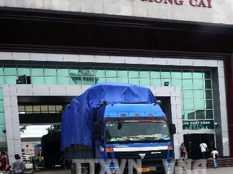 Quảng Ninh: Giải quyết phương tiện vận tải tồn đọng ở Móng Cái