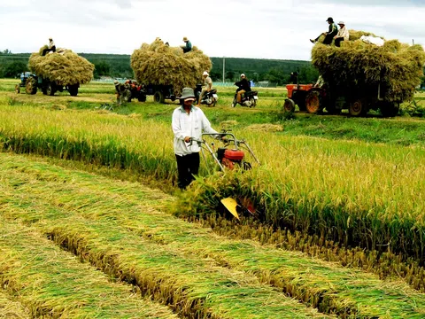 Bắt nhịp xu hướng xanh