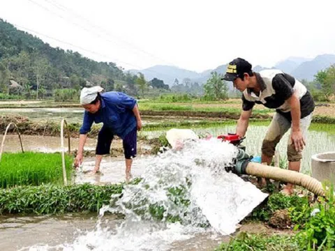 Bắc Ninh dự kiến hoàn thành sớm lấy nước đổ ải vụ Xuân