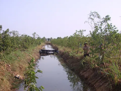 Tiền Giang trữ nước ngọt nội đồng, phòng chống hạn mặn