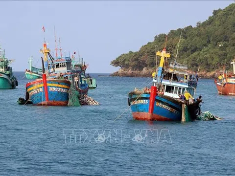 Thành phố Hồ Chí Minh: Vì một nghề cá bền vững