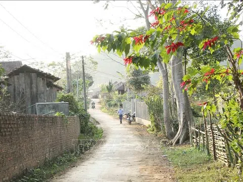 Sắc xuân nơi vùng tái định cư thủy điện Sơn La