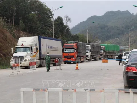 Lạng Sơn: Trên 100 xe nông sản thông quan những ngày đầu năm