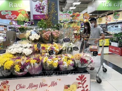 Tp. Hồ Chí Minh: Hầu hết điểm bán lẻ đã mở cửa kinh doanh sau Tết