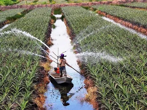 Lạng Sơn thu hút đầu tư trong lĩnh vực nông nghiệp