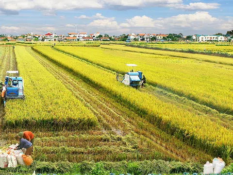 Trà Vinh ưu tiên hỗ trợ doanh nghiệp sản xuất, chế biến nông sản