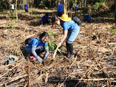 Đắk Nông chuyển 1,7 tỷ đồng dịch vụ môi trường rừng sang thực hiện Tết trồng cây