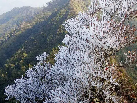 Băng giá xuất hiện nhiều nơi ở các huyện vùng cao Trạm Tấu và Mù Cang Chải