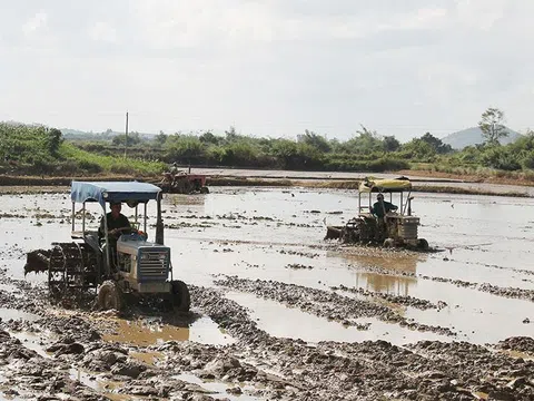 Đắk Lắk chủ động nguồn nước sản xuất vụ Đông Xuân