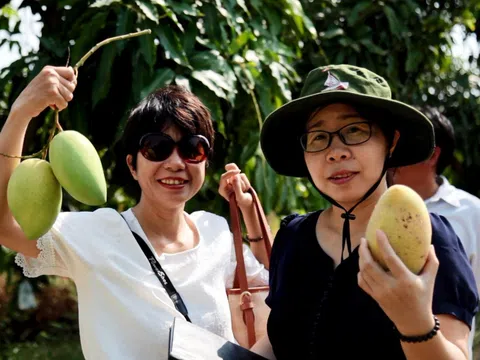 Kiên Giang: Nâng tầm sản phẩm OCOP