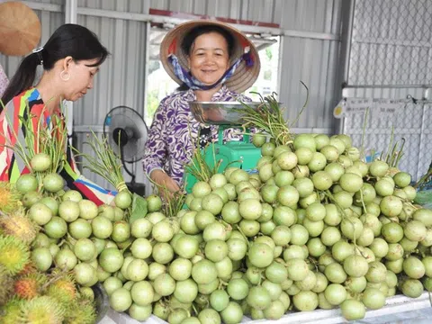 Dấu ấn phát triển đột phá sản phẩm OCOP