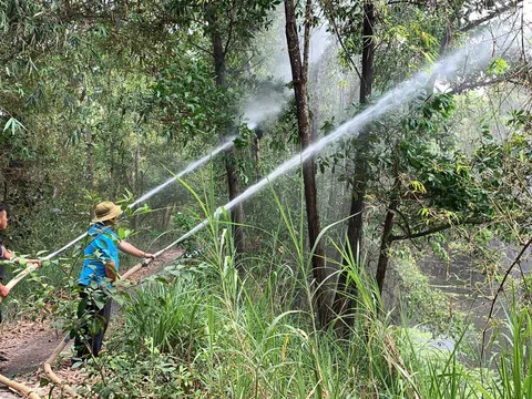 Kiên Giang: Phòng chống cháy rừng trong giai đoạn cao điểm mùa khô