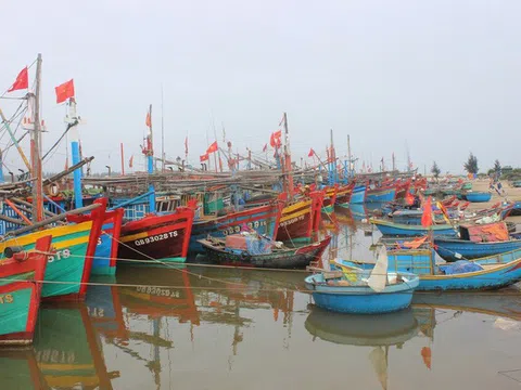 Biển đảo Việt Nam: Tìm giải pháp cho tàu cá nằm bờ