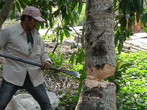 Bình Thuận:  Chủ tịch UBND huyện Bắc Bình tạo điều kiện thuận tiện cho công dân!