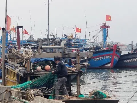 Đà Nẵng: Vượt khó giá dầu tăng cao, nông dân vẫn vươn khơi bám biển
