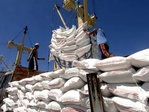 Thị trường nông sản thế giới: Giá gạo Thái Lan và Ấn Độ cao nhất trong hơn 8 tháng