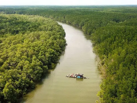 Kiên Giang phát triển rừng ứng phó với biến đổi khí hậu