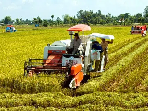 Sức lan toả từ những mô hình hợp tác xã kiểu mới