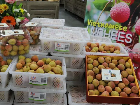 Rộng mở cơ hội xuất khẩu trái cây Việt sang "Xứ sở chuột túi"