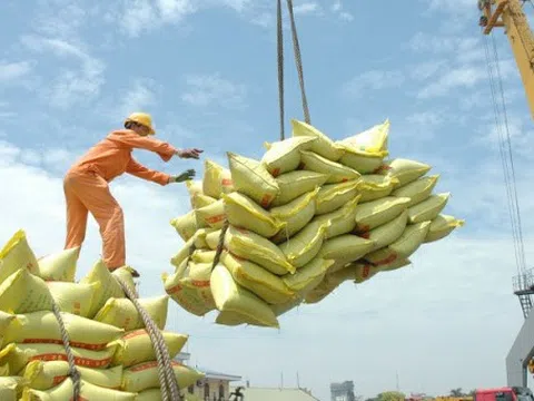 Giá gạo xuất khẩu của Việt Nam tiếp tục dẫn đầu, cao nhất 3,5 tháng