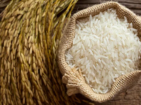 Tin vui: Giá gạo tăng trở lại