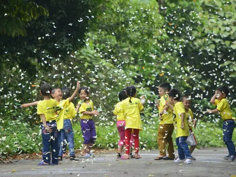 Mở hội đại ngàn Cúc Phương