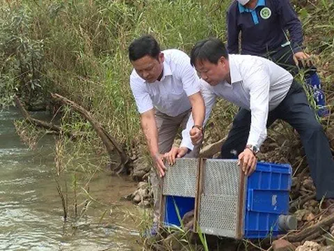 Rừng di sản là nơi ở mới của nhiều động vật hoang dã chuyển tới từ thủ đô