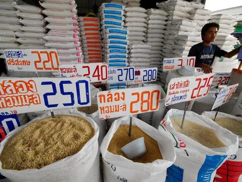 Giá gạo nội địa tăng 25% khiến Thái Lan lo ngại giảm sức cạnh tranh trên thị trường xuất khẩu