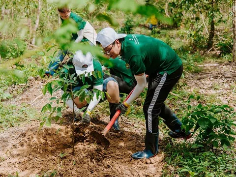 Nestlé Việt Nam trồng rừng góp phần giảm tác động biến đổi khí hậu