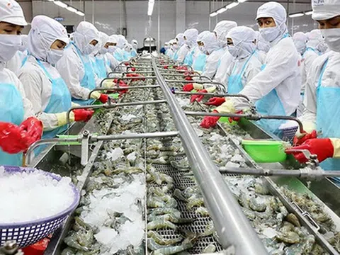 Hỗ trợ doanh nghiệp Việt xuất khẩu thực phẩm sang các nước thành viên RCEP