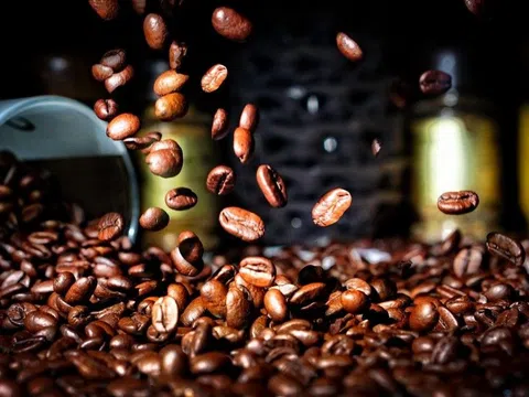 5 tháng, xuất khẩu cà phê thu về hơn 2 tỷ USD