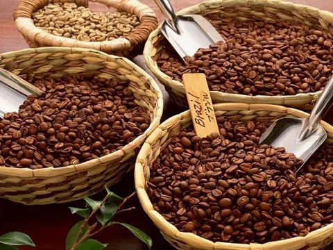 Tiêu dùng xanh ngày 8/6: Giá cà phê trong nước giảm nhẹ, Arabica giảm hơn 2% trên sàn thế giới