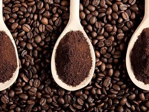 Tiêu dùng xanh ngày 14/6: Giá cà phê giảm mạnh trên hai sàn thế giới