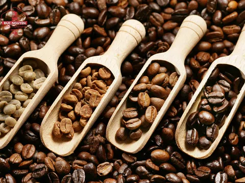 Tiêu dùng xanh ngày 15/6: Giá cà phê trong nước giảm nhẹ, Arabica tăng hơn 1,5% trên sàn thế giới