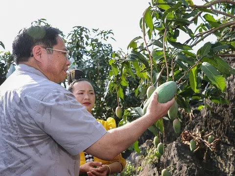 Sớm đưa Sơn La trở thành trung tâm chế biến nông sản vùng Tây Bắc