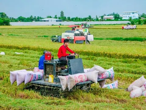 Tập đoàn Lộc Trời ấp ủ dự án 1 triệu ha trồng lúa chất lượng cao
