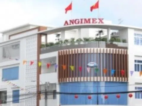 Thu hơn 1.600 tỷ từ xuất khẩu gạo sau 5 tháng, Angimex mở rộng vùng nguyên liệu tại An Giang