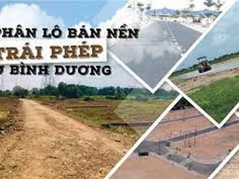 Bình Dương: Lấy ý kiến về việc sửa đổi, bổ sung quy định về điều kiện tách, hợp thửa các loại đất