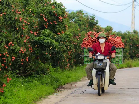 Bắc Giang: Khai thác tối đa tiềm năng khác biệt, tạo bứt phá trong phát triển kinh tế - xã hội