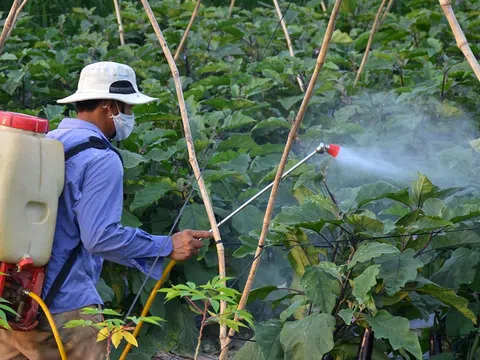 Đẩy mạnh tuyên truyền Luật Bảo vệ môi trường đối với ngành nông nghiệp