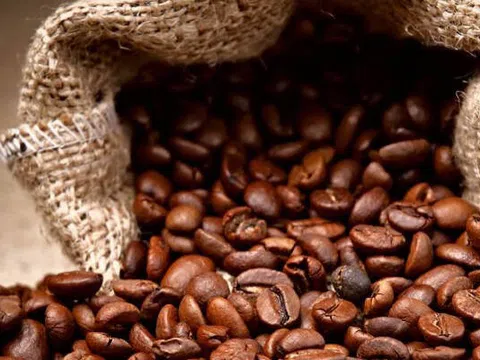 Tiêu dùng xanh ngày 16/7: Giá cà phê Arabica hồi phục