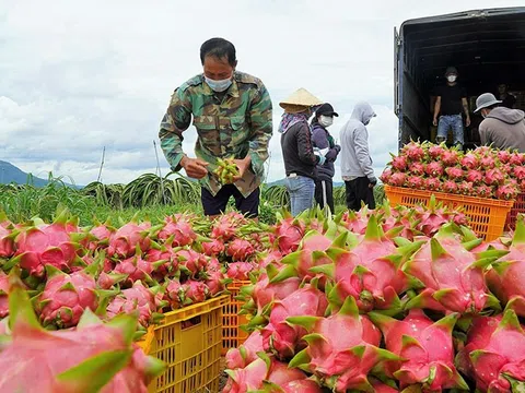 Làm gì để thúc đẩy xuất khẩu?