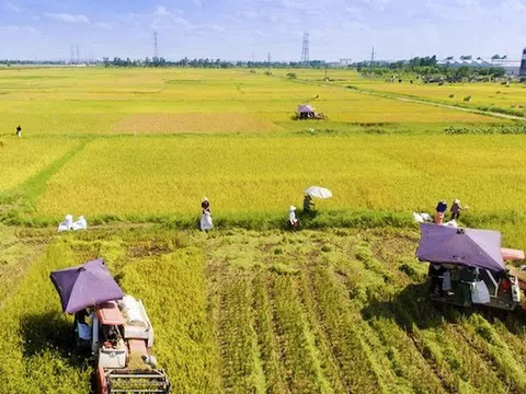 'Năng suất lao động nông nghiệp Việt Nam chỉ bằng 40% Thái Lan, 30% Trung Quốc'